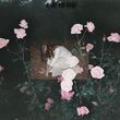 In Love with Suicide