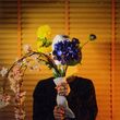 Folia