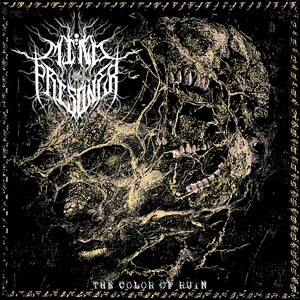 Mind Prisoner - The Color of Ruin