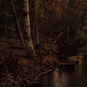 Aran - Pimeyttä vasten
