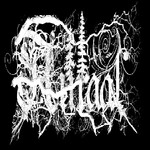 Image band