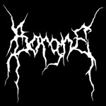 Image band