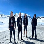 Image band