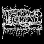 Image band