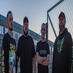 Image band