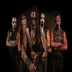 Image band