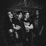 Image band