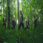 Image band