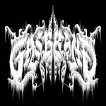 Image band