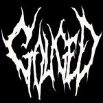 Image band
