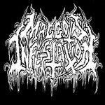 Image band