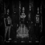 Image band