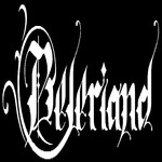 Image band