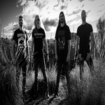 Image band