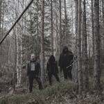 Image band