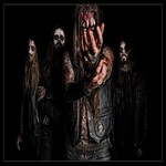Image band