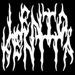 Image band