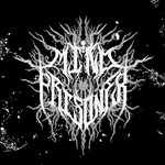 Image band