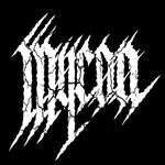 Image band