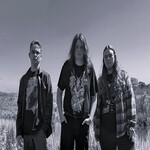 Image band