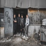 Image band