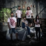 Image band