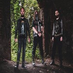 Image band
