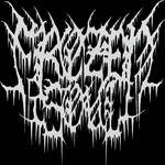 Image band